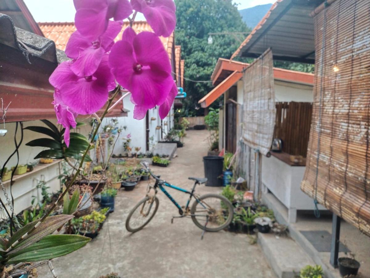 Pdv Guesthouse Bannjojnua Kültér fotó